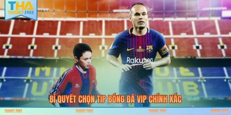 Bí quyết chọn tip bóng đá VIP chính xác