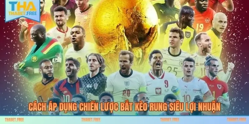 Cách áp dụng chiến lược bắt kèo rung siêu lợi nhuận