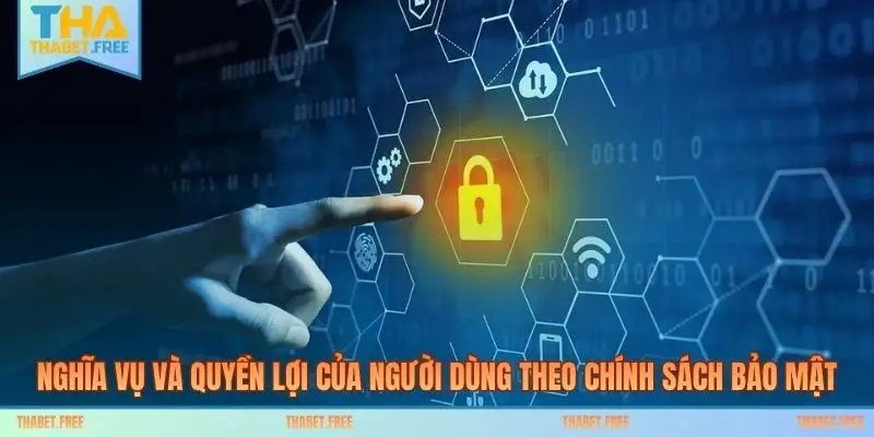 Nghĩa vụ và quyền lợi của người dùng theo chính sách bảo mật