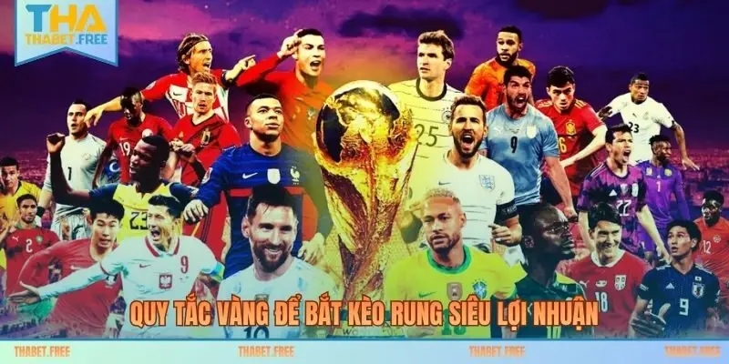 Quy tắc vàng để bắt kèo rung siêu lợi nhuận