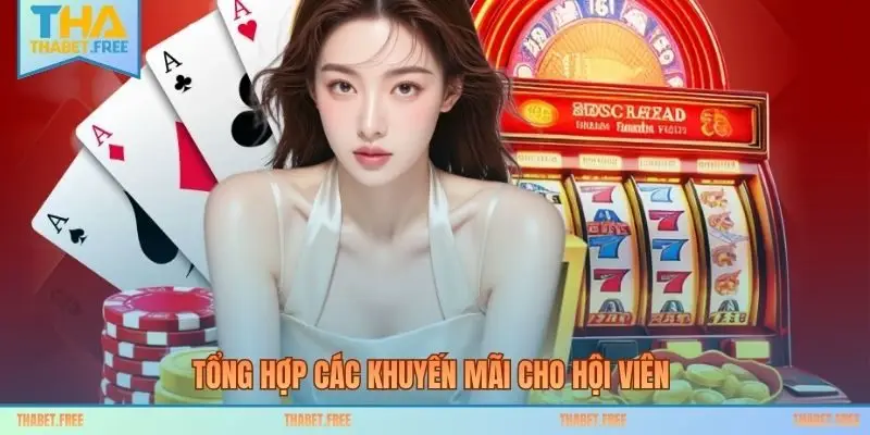 Tổng hợp các khuyến mãi cho hội viên 